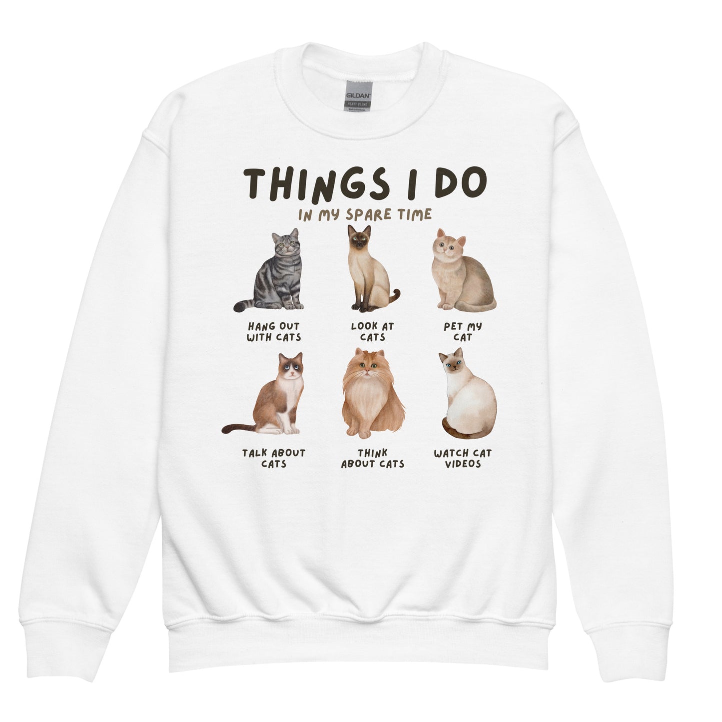 Kids 'Things I Do In My Spare Time' Cat Sweatshirt